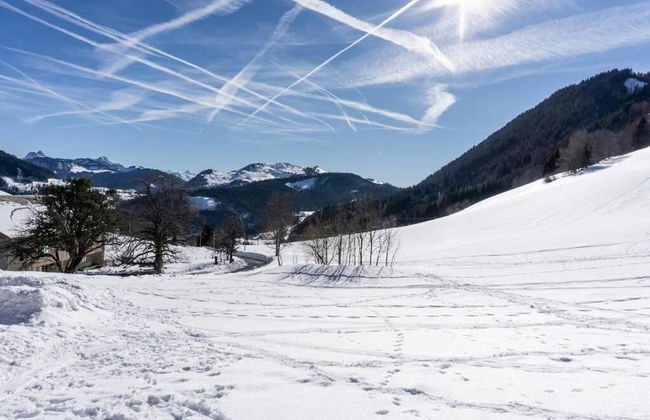 Les Cimes du Léman - Photo 22