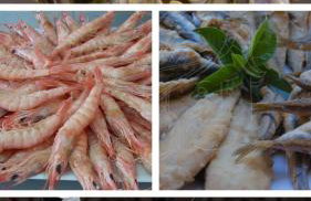 Casa dalia - Foto 31