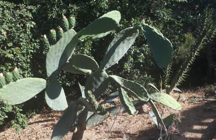 Sea view, Wonderful pool, Nature, Peaceful & AC - Foto 60