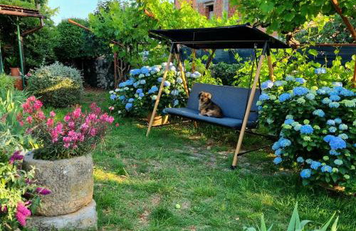 Studio Apartment Lino - Foto 7