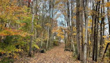 Center Hill Lake Retreat Lake Views, Fire Pit & 400 Yds to Water - Foto 4