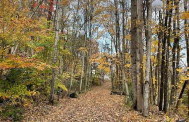 Center Hill Lake Retreat Lake Views, Fire Pit & 400 Yds to Water - Foto 4