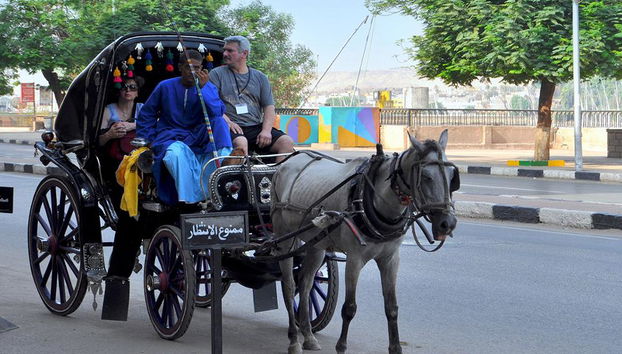 Recorrido privado por el mercado local en coche de caballos - Foto 4