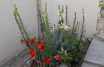 Apartments by the sea Borje, Peljesac - 24837 - Foto 6