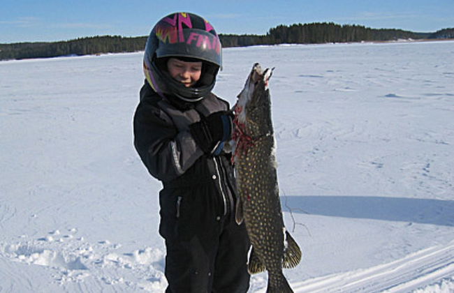 Viljamaan lomamökit 2 - Foto 23