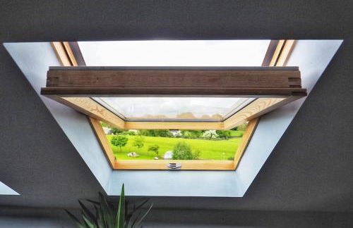 The Wild Daisy - Foto 16