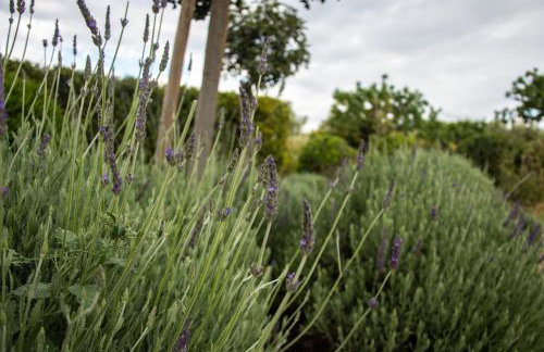 Villa Rosa with private pool, Athens Riviera - Foto 24