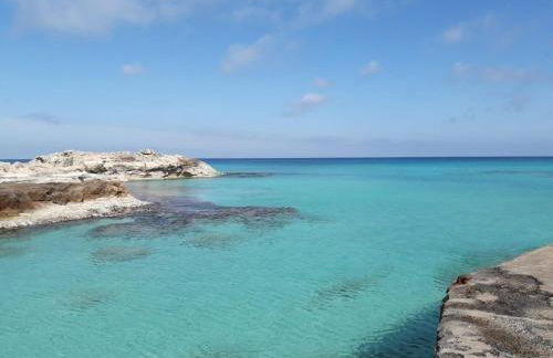 Cavall de Llevant - Formentera Break - Photo 19