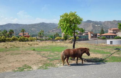Villa Rossella - Foto 7