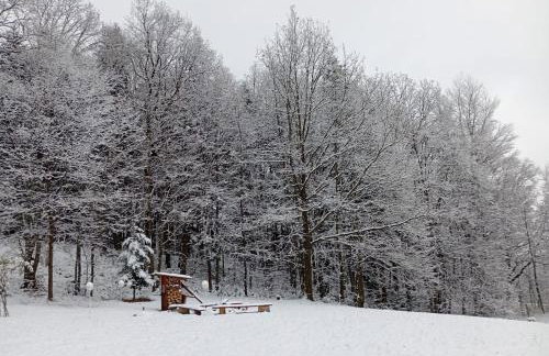 Szumią Dęby - Marcyporęba - Photo 49