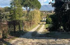 Casa nel verde a Monterotondo - Foto 5