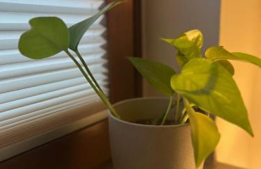 Goodie Room I Apartment I Würzburg Estenfeld - Foto 12