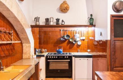 León de Sineu - Foto 47