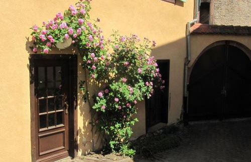 Plein Sud vue sur les Vosges et le vignoble - Foto 43