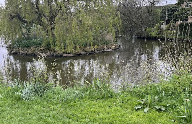 Beautiful 2-bed Cottage in Grewelthorpe , Masham - Foto 13