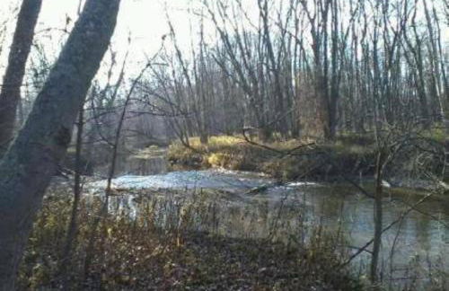 Cabin Surrounded by Sublime Nature near Lake Huron, Michigan - Foto 10