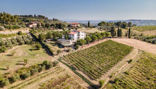 Sole Verde green house - Foto 3