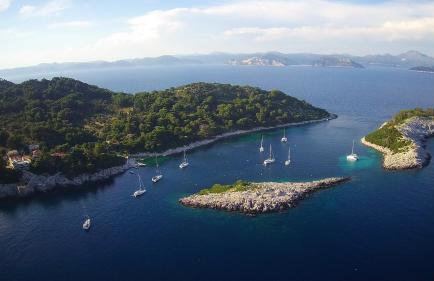 Villa Franić - Photo 41