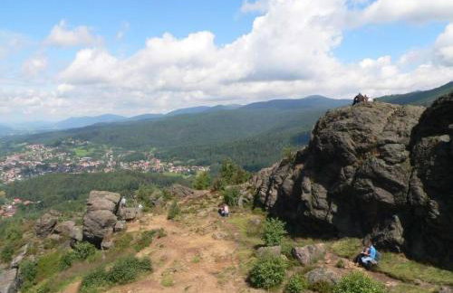 Holiday Home Marco in Eppenschlag by Interhome - Foto 23