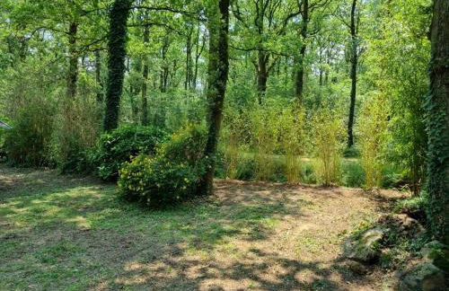 Les Chalets de SAUMUR, Piscine & Parc boisé, 100m du CadreNoir - Foto 19