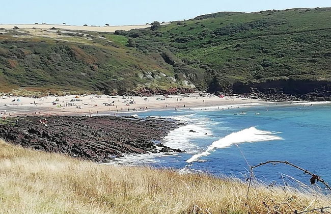 Nuthatch Lodge is set in 24 Acres of Wood, Parkland Near the Village of Cenarth - Photo 24