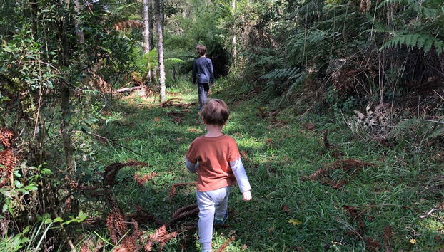 Trilha dos Xaxins - Foto 4