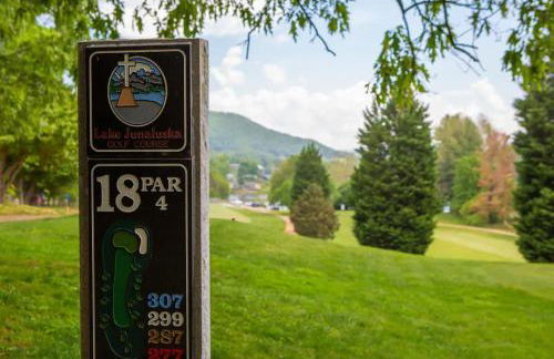 Old Chestnut Cabin at Lake Junaluska - Foto 32