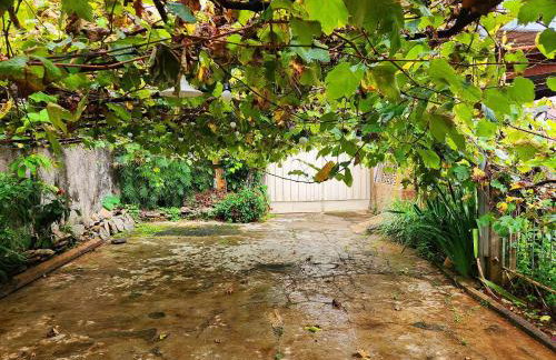 Casa Espaçosa no Centro Histórico - Foto 41