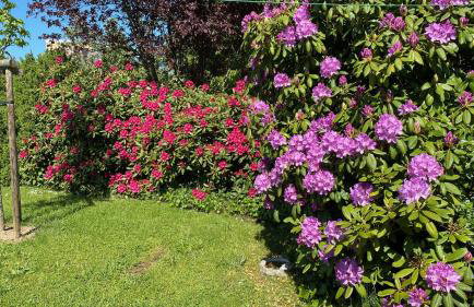 Haus Tulle - 2 Ferienwohnungen Schnupp & Lütte mit Saisonstrandkorb - Foto 15