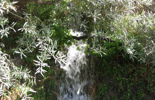 Bancal de Los Pérez - Foto 41