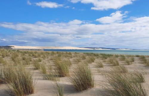 Appartement terrasse, quartier très prisé - Foto 15
