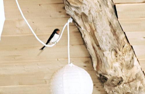 Domaine de Massoulac - Foto 58