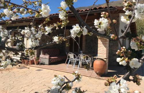 Casa Rural Las Picotas - Foto 10