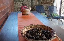 Etna Garden Francesca - Foto 10