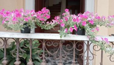 Dimora LUCILLA - Foto 4