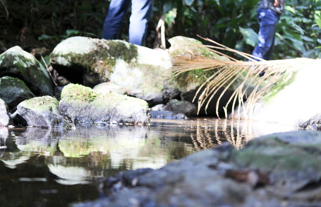 Hotel Fazenda Casarão do Vale - Foto 65