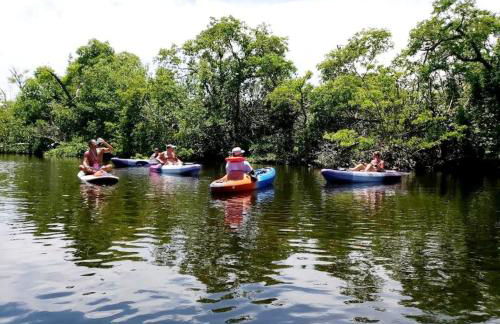 Summer Retreat House - Photo 20