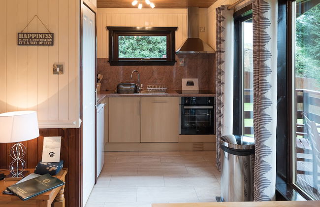 Birch Lodge 23 With Hot Tub, Newton Stewart - Photo 9