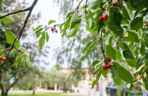 Villa Helvetia - Foto 34