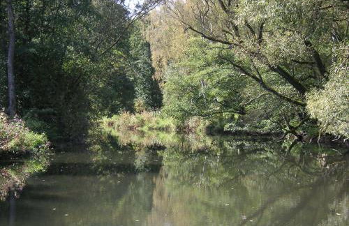 Hammerschloss Unterklingensporn - Foto 11