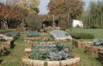 Tenuta Agriturismo La Borina - Foto 106