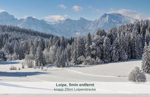 Chalet - Ferienwohnungen - Biohof Stöger - Panoramasüdbalkon - grandiose Aussicht auf See, Berge und Schloss Neuschwanstein - Foto 33