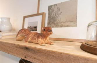 Adventure Barn - On HGTV Fixer to Fab -Access MTB - Foto 13