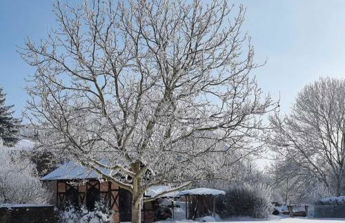 Pension Stadtmühle Allstedt - Foto 12