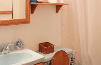 Artist in the Barn - Foto 12