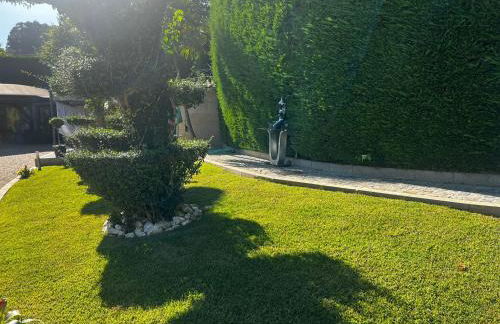 Quinta Das Palmeiras - Foto 26