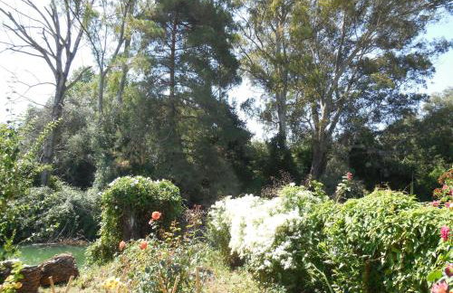 Petros Studios - Foto 21