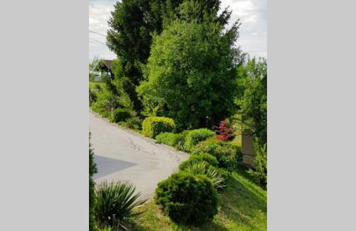 Apartman Robert - Apartmani Barsic - Photo 15