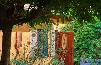 Biggi‘s Garten-Finca - Foto 2