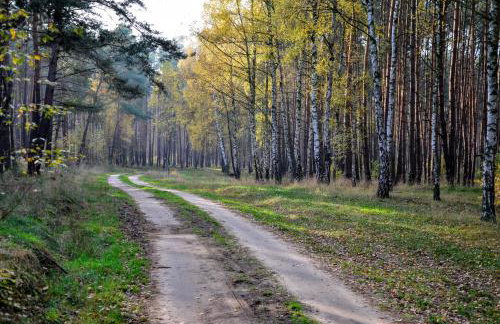 Skorzęcin Pachnie Miętą - Foto 56